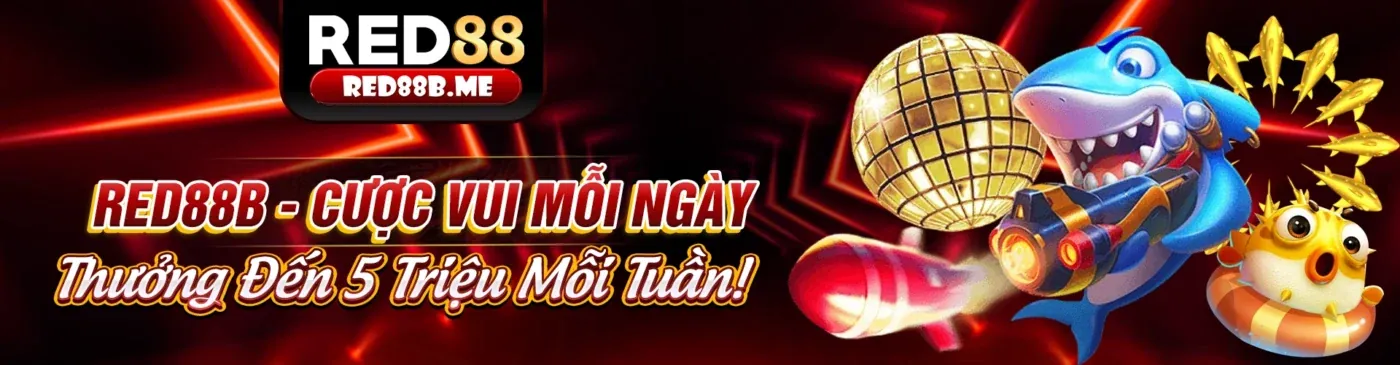 Ứng dụng 123b trên điện thoại di động